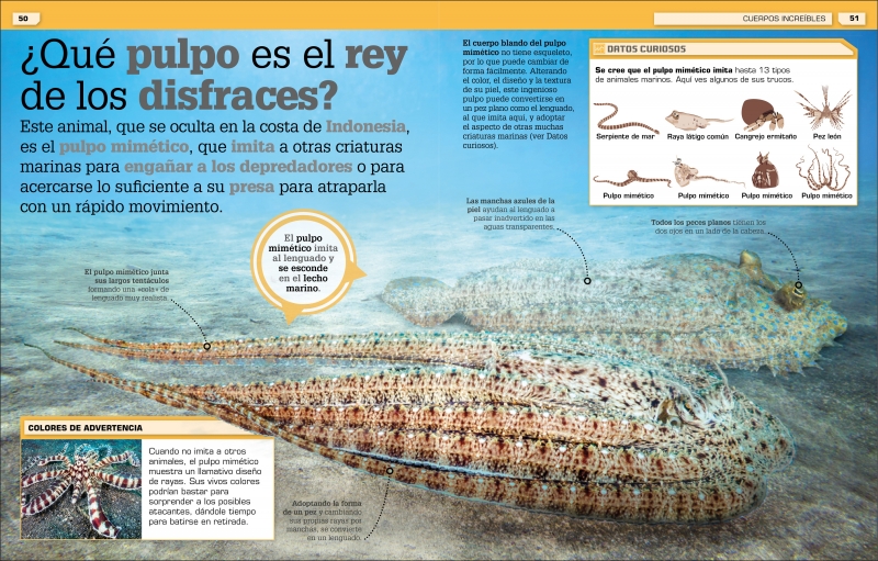 ¡Increíble pero cierto! Animales - Imagen 2