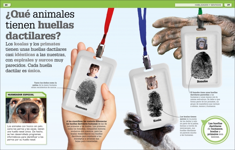¡Increíble pero cierto! Animales - Imagen 4