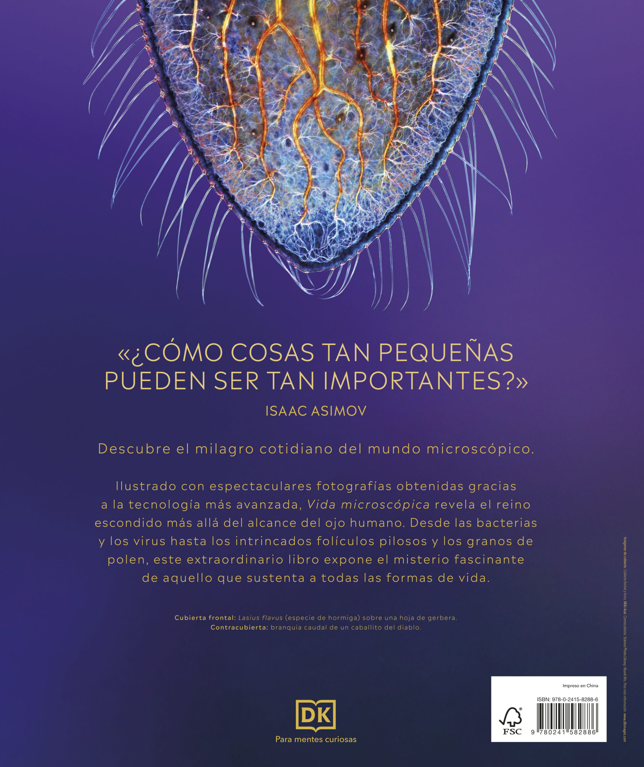 Vida microscópica - Imagen 6