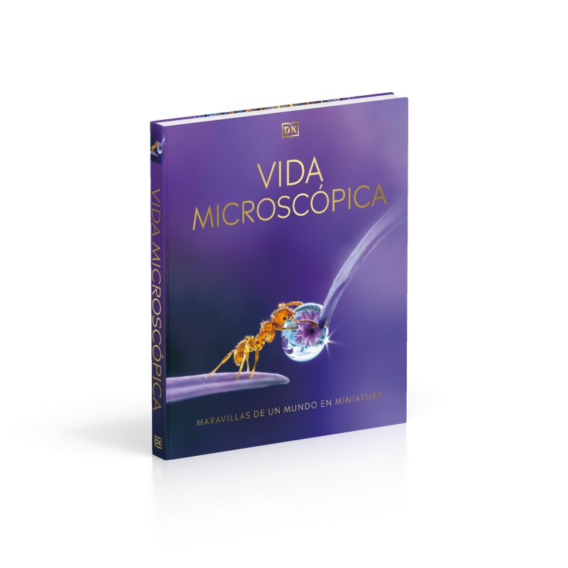 Vida microscópica - Imagen 7