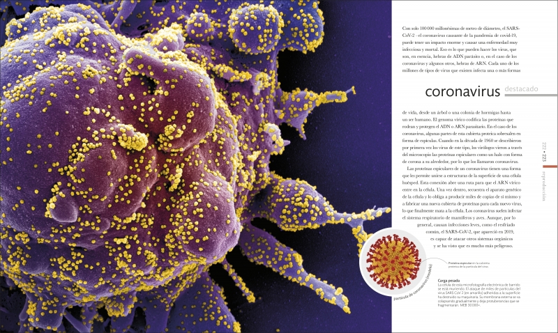Vida microscópica - Imagen 2