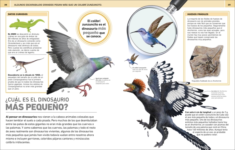 ¡Increíble pero cierto! Dinosaurios - Imagen 3