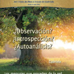 ¿Observación? ¿Introspección? ¿Autoanálisis?