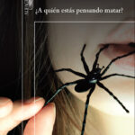 ¿A quién estás pensando matar?