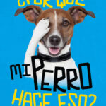 ¿Por qué mi perro hace eso?