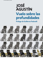 Vuelo sobre las profundidades