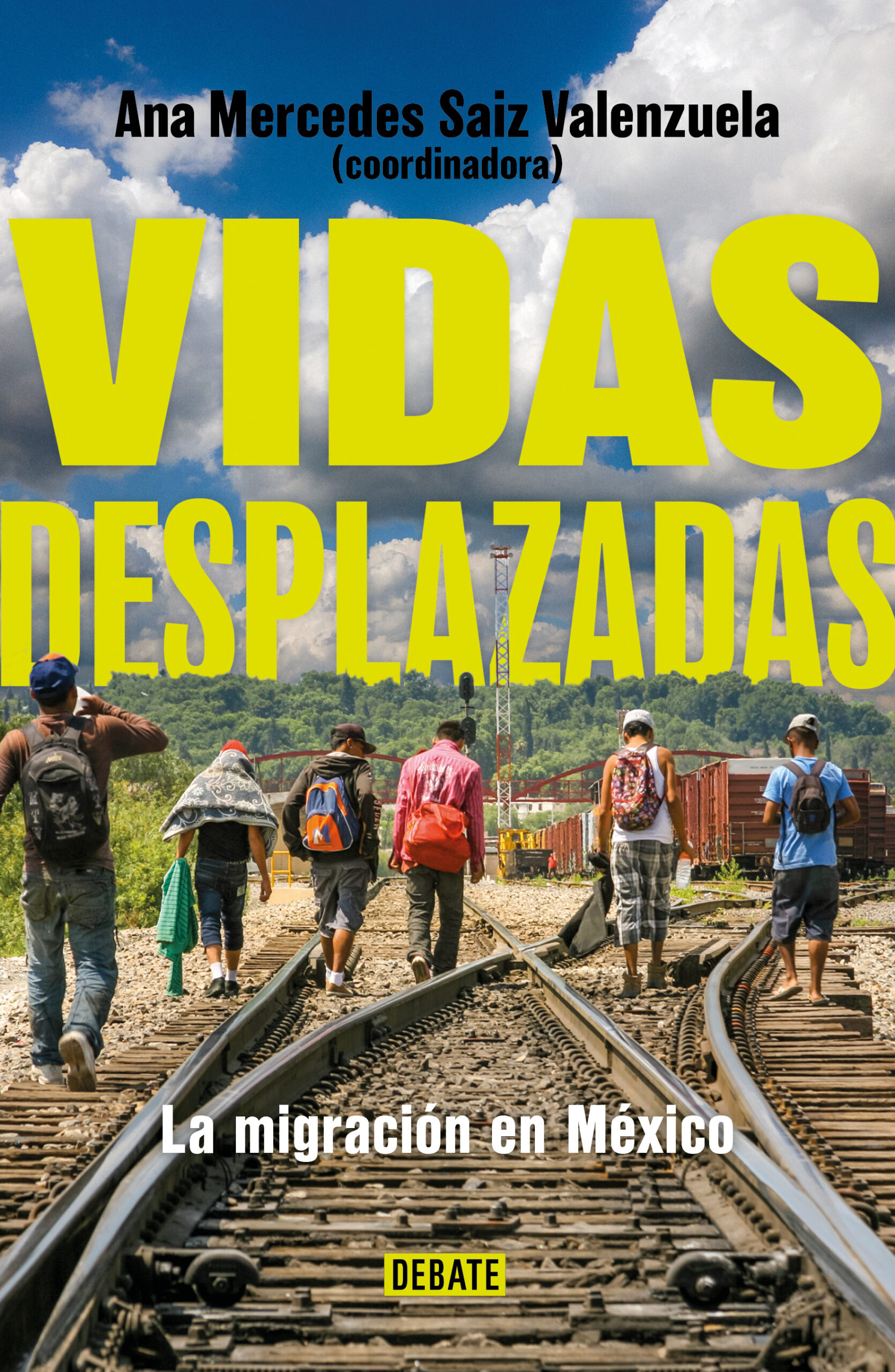 Vidas desplazadas