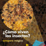 ¿Cómo viven los insectos?