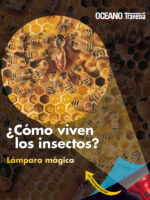 ¿Cómo viven los insectos?