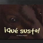 ¡Qué susto!