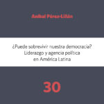 ¿Puede sobrevivir nuestra democracia?
