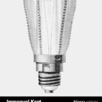 ¿Qué es la Ilustración?