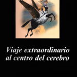 Viaje extraordinario al centro del cerebro