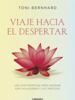 Viaje hacia el despertar