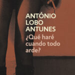 ¿Que haré cuando todo arde?