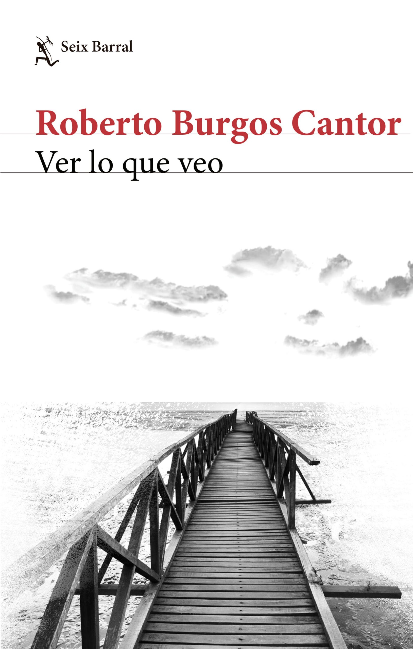 Ver lo que veo